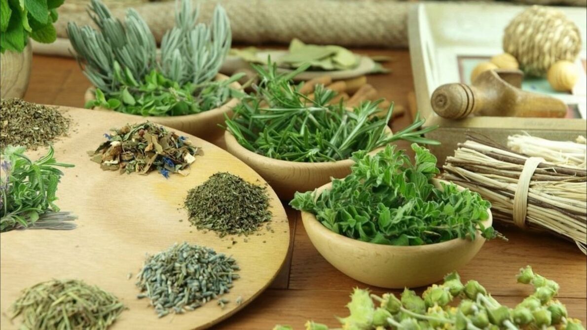 herbs to eliminate parasites from the body