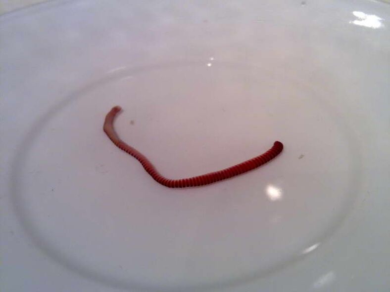 parasite of the human body