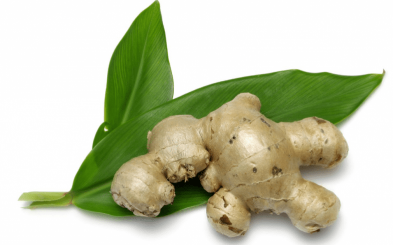 ginger for human worms